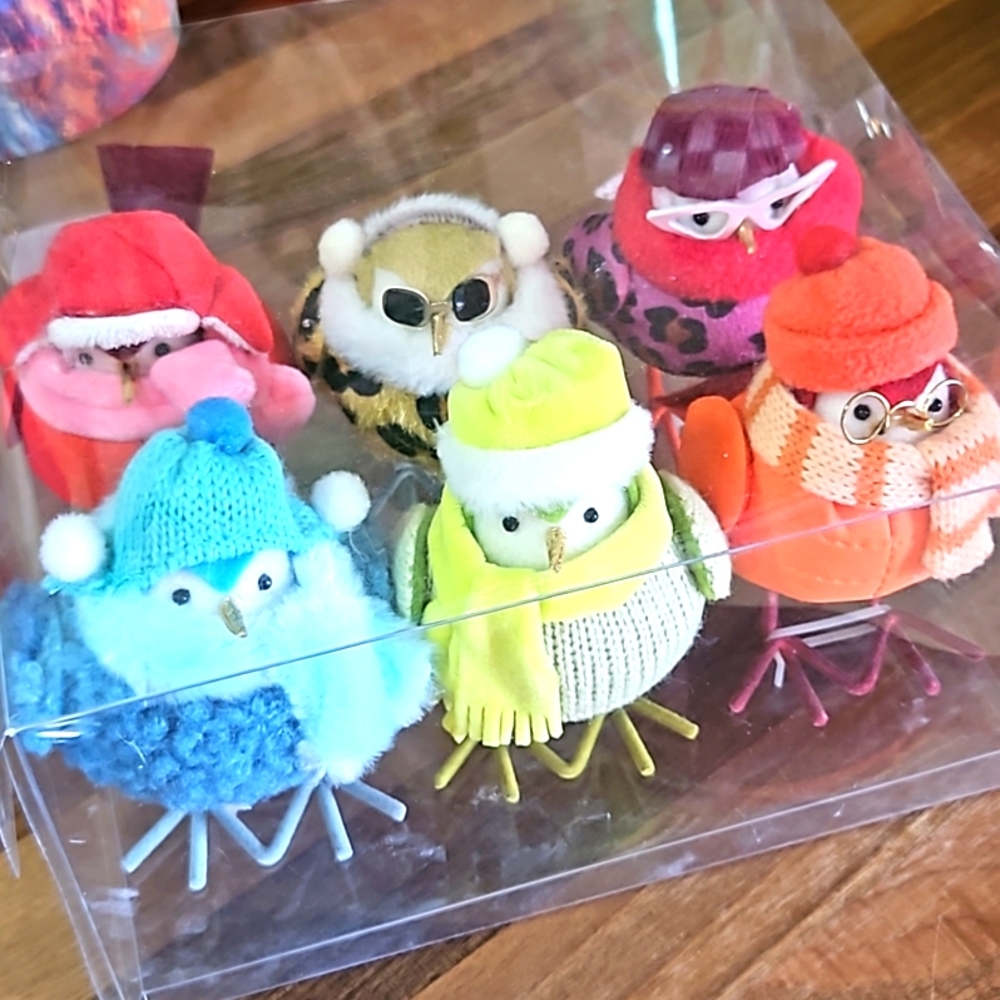 🐦 Sassy 'N Hip Winter Fashion Bird Decor, New in Box! 💋